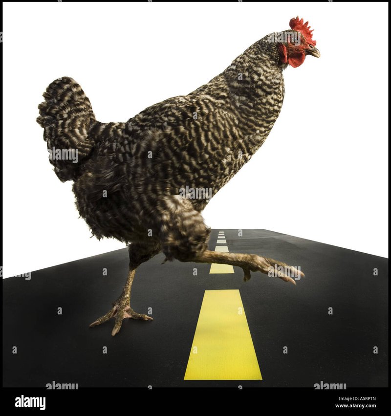 Chicken road casino, chicken road online